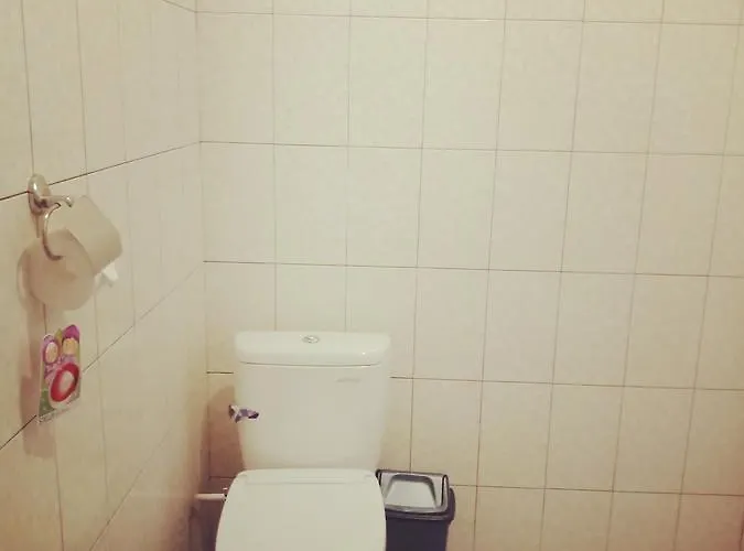 Black Lava And ホステル Kintamani